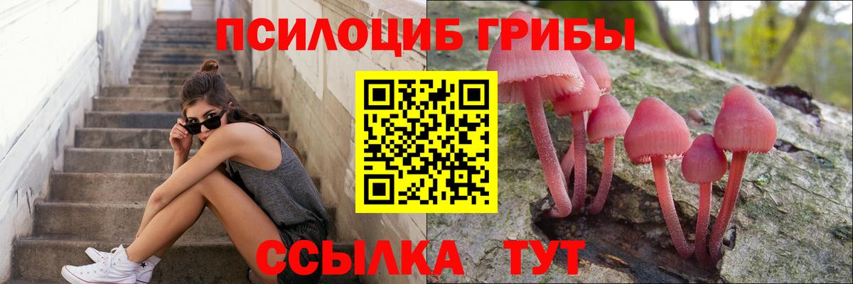 Псилоцибиновые грибы GOLDEN TEACHER  Псилоцибиновые грибы мицелий  продажа наркотиков  Петрозаводск  Вход с VPN 